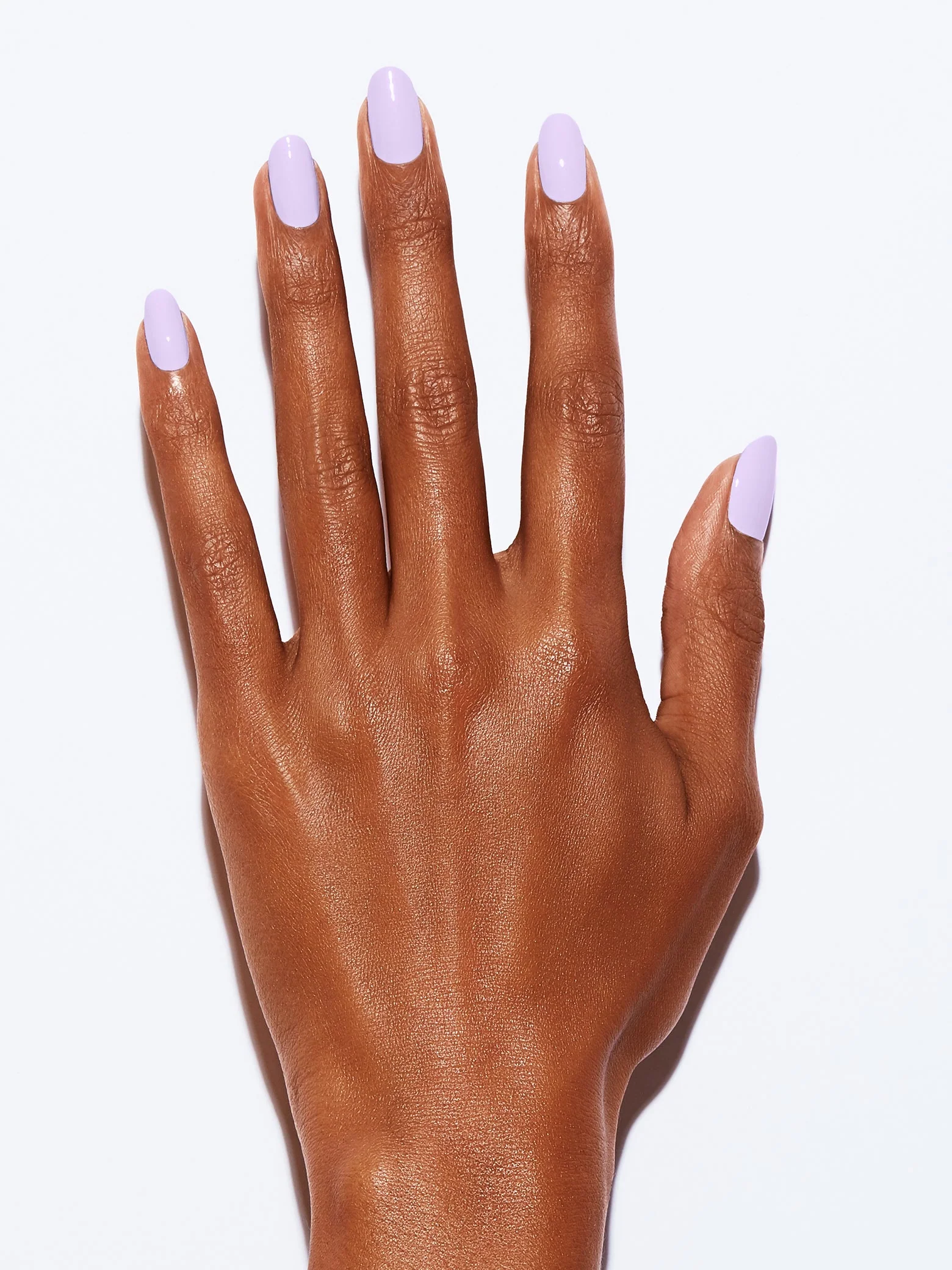 LAVENDER FIELDS - Image 3