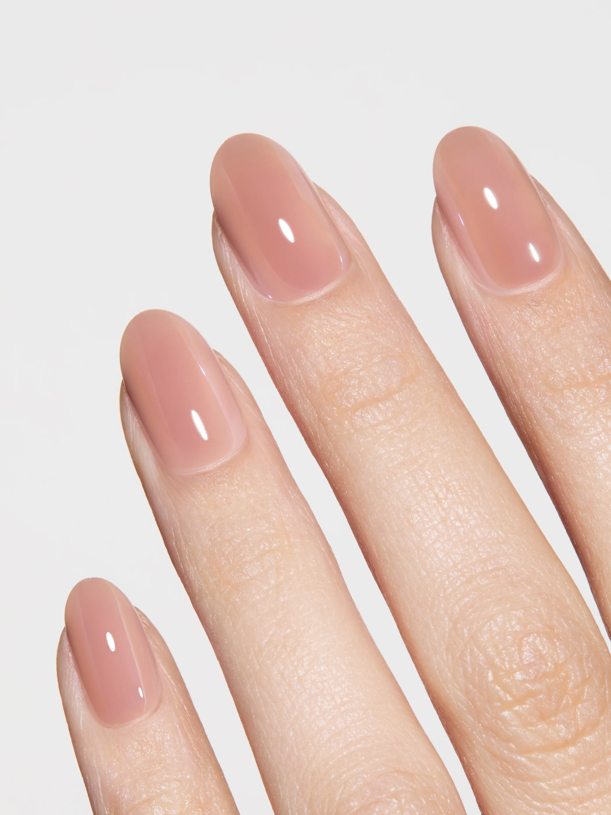 2026 Homepage: The Top Shelf